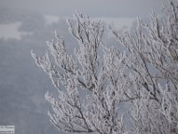 2018-01-13 M. Orsello 099